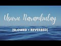 Usuru Narambulay [Slowed + Reverbed] - Dhee | Irudhi Suttru | Santhosh Narayanan