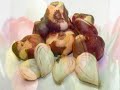Как вырастить нарциссы в домашних условиях из семян 616