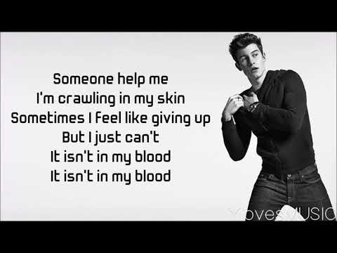 Download Shawn Mendes - In My Blood (Lyrics) free
