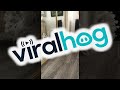 Hen Battles Her Reflection || ViralHog