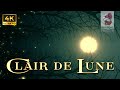 4K Clair de Lune Video | Piano Solo Soothing Classical Music By The Moonlight