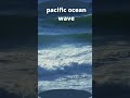 pacific ocean wave
