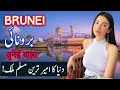 Travel To Brunei | brunei History Documentary in Urdu And Hindi | Spider Tv | Brunei Ki Sair