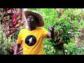 NDIRI KINANDA- KARANJA DAVID OFFICIAL (OFFICIAL VIDEO)
