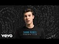 Shawn Mendes - Never Be Alone (Official Audio)