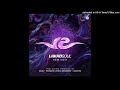 Liquid Soul & Neodyne - Believe ( Phanatic & Static Movement Rmx )