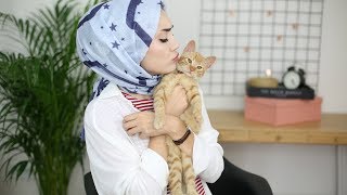 Kedimi Sahiplenme Hikayem,Youtube