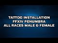FFXIV Penumbra Tattoo Installation Guide (All Races, Male and Female)