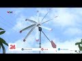 Gặp lão nông ở miền Tây tự mày mò chế tạo điện gió với kinh phí 25 triệu đồng| VTV24