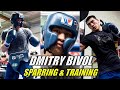Dmitry Bivol Sparring & Training