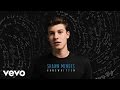 Shawn Mendes - Kid In Love (Official Audio)