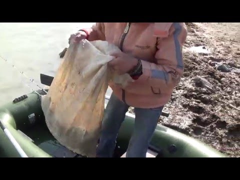 когда ловить бычка на азове когда ловить бычка на азове