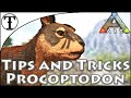 Fast Procoptodon Taming Guide :: Ark : Survival Evolved Tips and Tricks