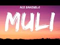 Ace Banzuelo - Muli (Lyrics) Arthur Nery, Nobita