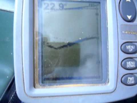 эхолот lowrance x4 на сома эхолот lowrance x4 на сома