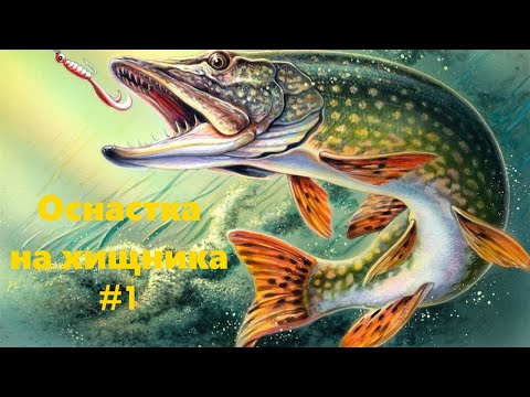 Снасть на хищника живец Снасть на хищника живец