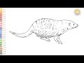 Mongoose drawing easy | How to draw A Mongoose step by step | Draw A Animal