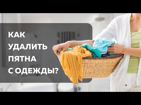Чем оттереть шоколад от одежды Чем оттереть шоколад от одежды