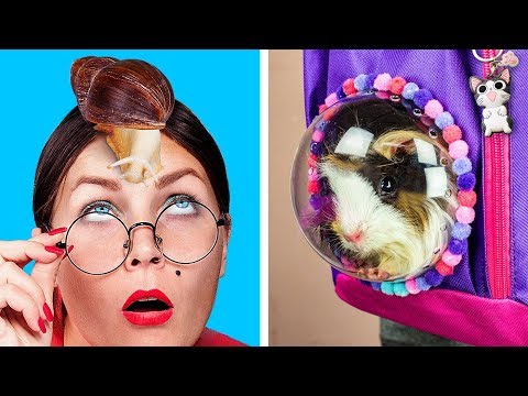 How To Sneak Pets Into Class 8 Funny Pet Pranks And Hacks