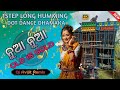 Noya Noya Dj Song||1step Long Humming Dot Dance Dhamaka ||Dj Avijit Remix @Odiadjsong0.2