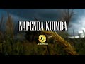 NAPENDA KUIMBA FADHILI ZAKO | Worship Instrumental Music | ya Kuabudu (made by JC.Sambaa)
