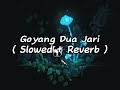 Goyang Dua Jari ( Slowed + Reverb )