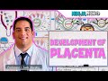 Embryology | Development of the Placenta