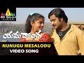 Yamadonga Video Songs | Nunugu Misalodua Video Song | Jr.NTR, Priyamani | Sri Balaji Video