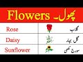Flowers Name In English and Urdu With Pictures | Flowers Vocabulary | BZ English