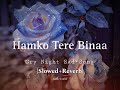 Humko tere bina jeena tu sikha||slowed and reverb|sad song