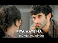 O Piya Aaye Na | [ Slowed + Reverb ] | Iam Already Broken 😖💔 || Tulsi Kumar || SK LOFI ⚡🦋