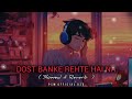 Dost Banke Rehte Hai Na Lofi Song | Rahat Fateh Ali Khan New Song |  #newvideo