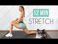7 ESSENTIAL STRETCHES YOU NEED TO DO DAILY! (12 min Stretch for Flexibility & Mobility)