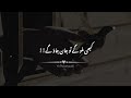 Kabi milo gy to jaan jao gy | Best urdu poetry status | Hearttouching lines " Palattadill"