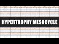 How to Create a Hypertrophy Mesocycle | Training for Muscle Growth