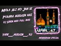 Mola Ali Ko Jaan Se Pyara Hussain Hai || New Full Dj Remix Qalaam || 2024