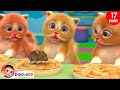 Three Little Kittens + More | Nursery Rhymes & Kids Songs | Dippidoo