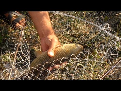 карп как ловить на что на какую наживку карп как ловить на что на какую наживку