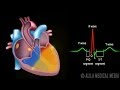 Cardiac Conduction System and Understanding ECG, Animation.