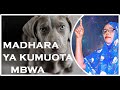 MADHARA YA KUMUOTA MBWA./ EFFECTS OF DREAMING A DOG
