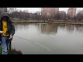 рыбалка в москве на тимирязевской рыбалка в москве на тимирязевской