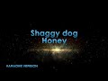 Shaggy dog-Honey. Karaoke version