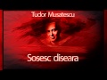 Sosesc diseara (1986) - Tudor Musatescu