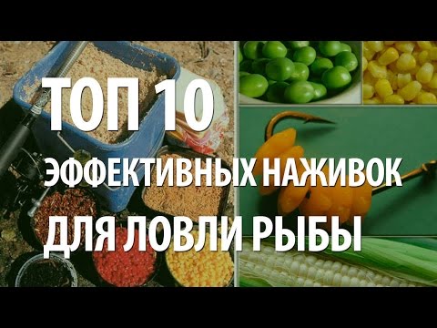 Эффективные прикормки для рыбалки Эффективные прикормки для рыбалки