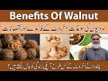 Benefits Of Walnuts In Urdu/Hindi | Akhrot Khane Ka Faidy-Fawaid (Nuts) | Al-Razaqi Health Recover