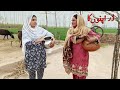 Dar Apno Ka \\ New Emotional Video \\ Must Watch Punjabi Sad Story 2024@BataProductionOfficial