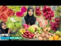 Panen buah-buahan dikebun | Bikin rujak buah segar