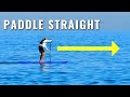 3 TIPS to paddle STRAIGHT. | *Guaranteed Results*