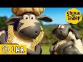 Shaun the Sheep 🐑 Timmy's GIANT Pizza Wish & MORE 🍕 Full Episodes Compilation