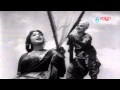 Mooga Manasulu Songs - Naa Paata Nee Nota Palakala Silaka - Akkineni Nageswara Rao, Savitri